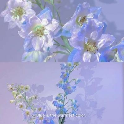 安庆房产信息网